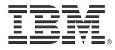 IBM sterreich
